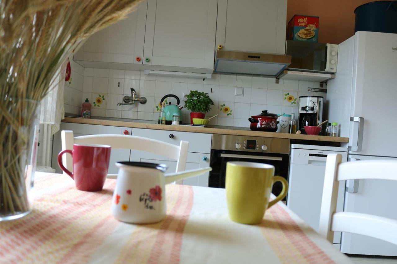 Gogalova Apartment Ljubljana Eksteriør billede