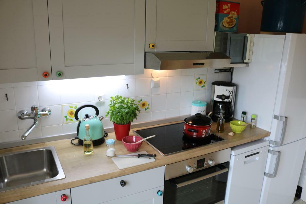 Gogalova Apartment Ljubljana Eksteriør billede